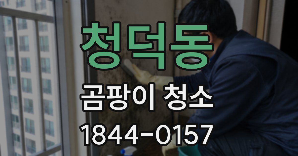 청덕동 곰팡이 청소