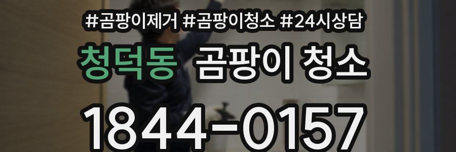 청덕동 곰팡이 청소