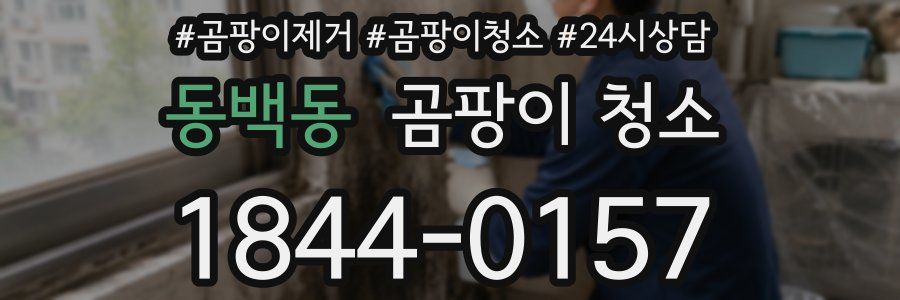 동백동 곰팡이 청소