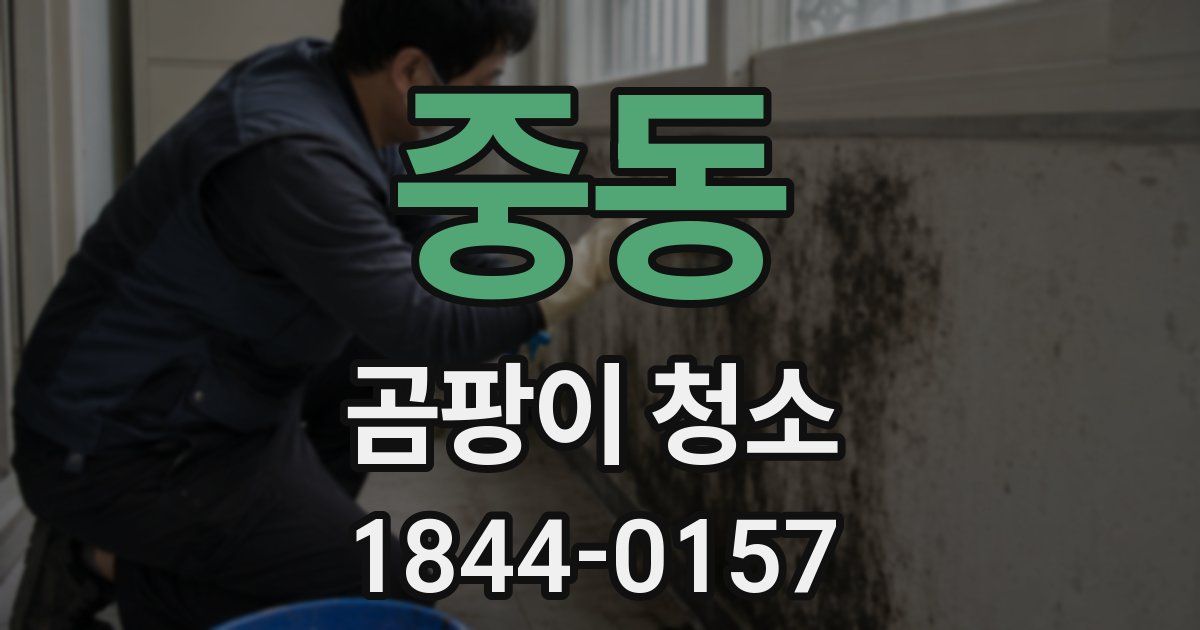 중동 곰팡이 청소