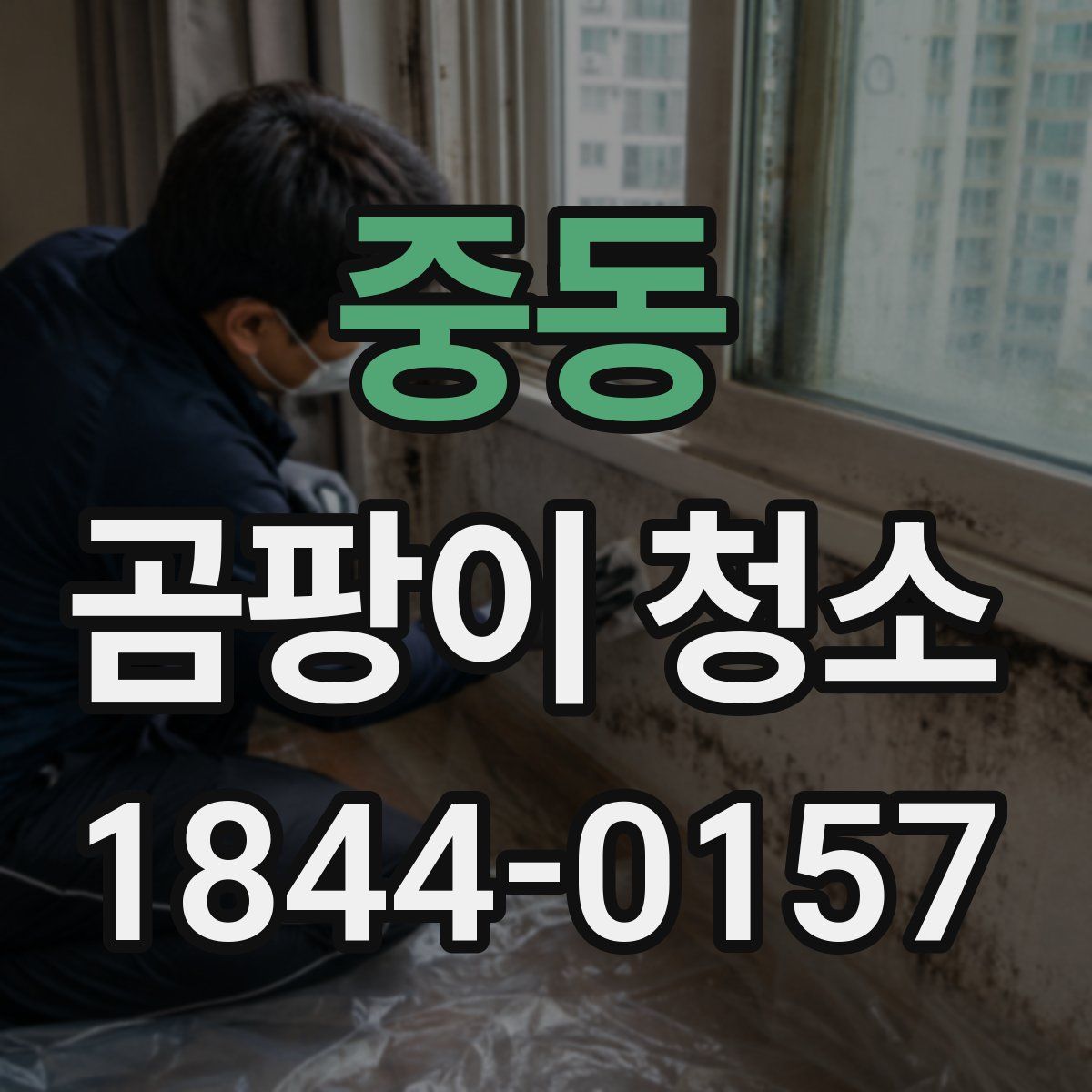 중동 곰팡이 청소