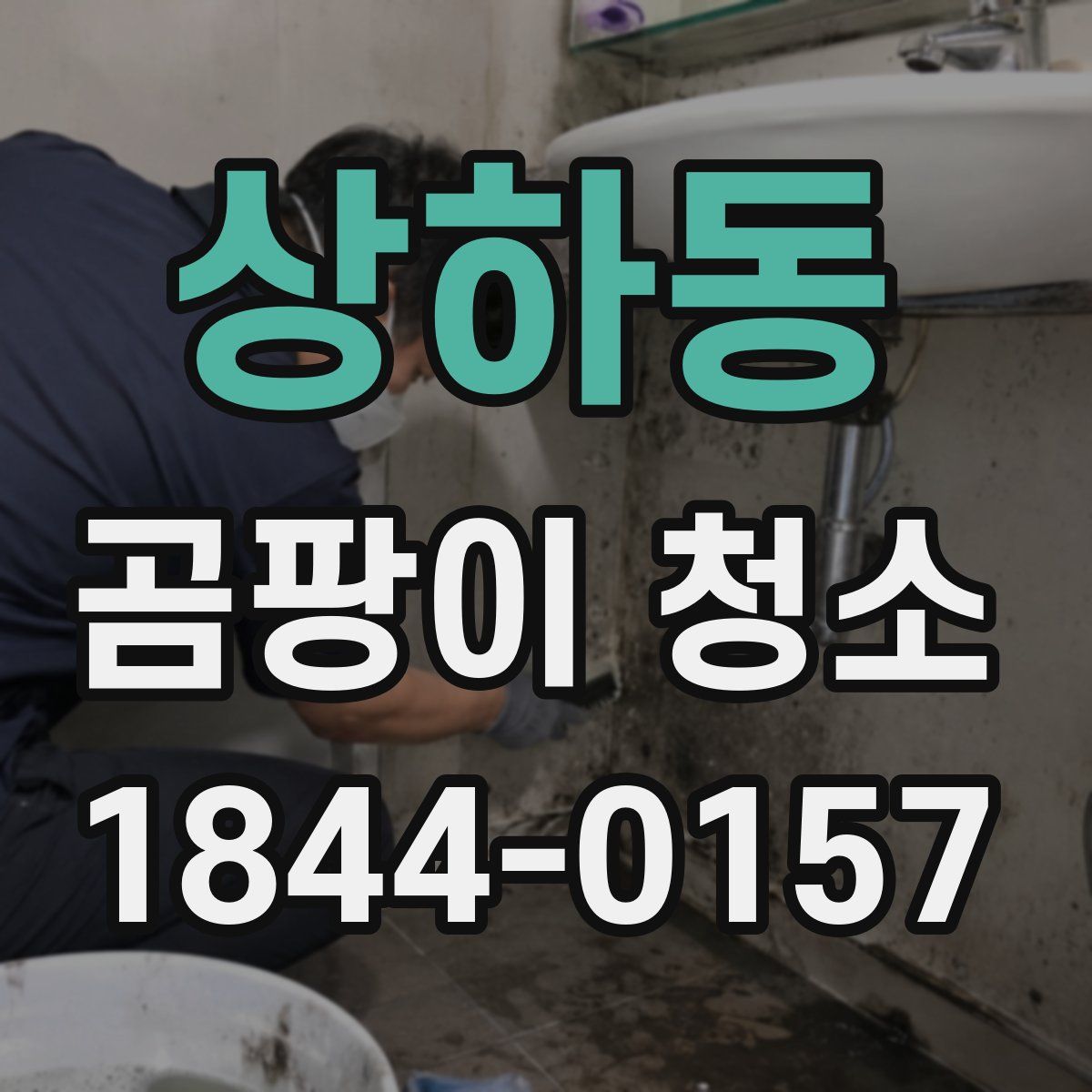 상하동 곰팡이 청소