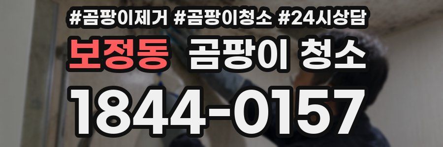 보정동 곰팡이 청소