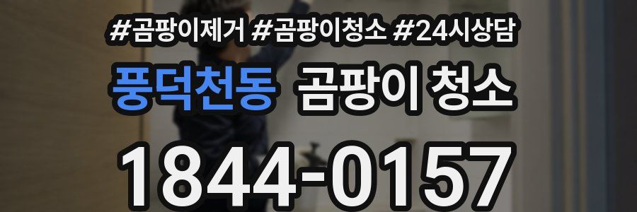 풍덕천동 곰팡이 청소