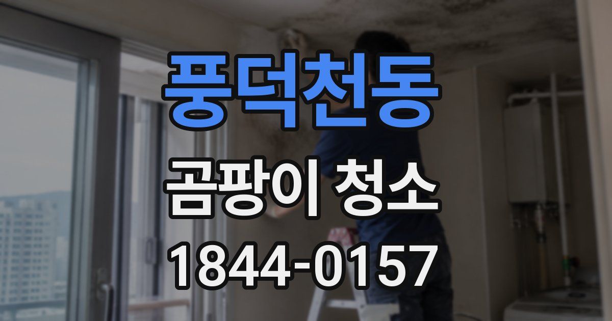 풍덕천동 곰팡이 청소