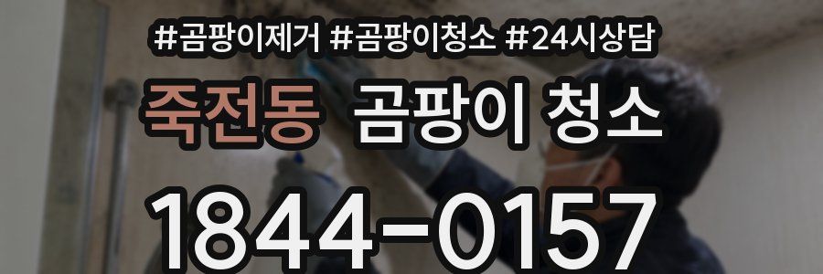 죽전동 곰팡이 청소
