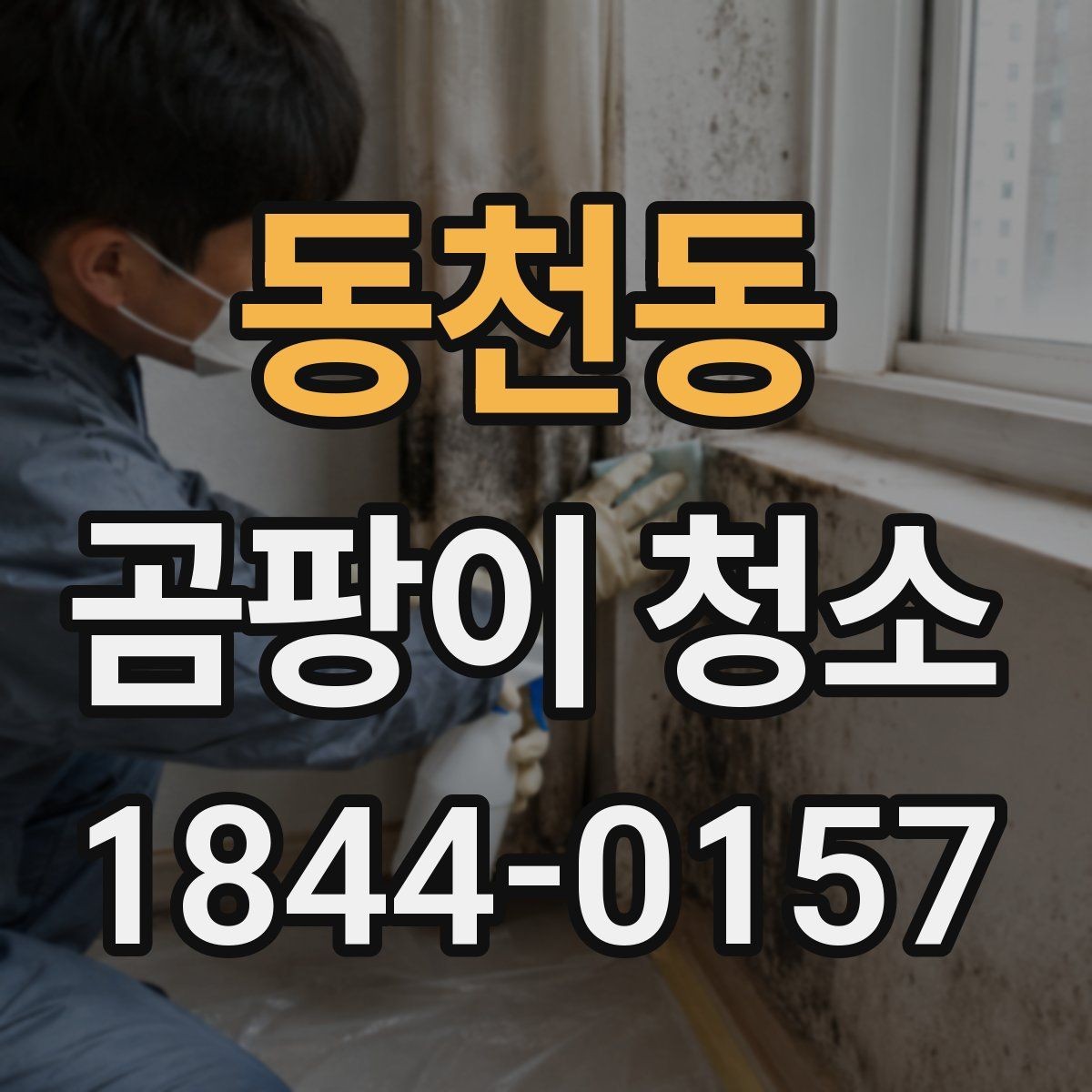 동천동 곰팡이 청소 자취방에서 빠르게 정리하는 순서