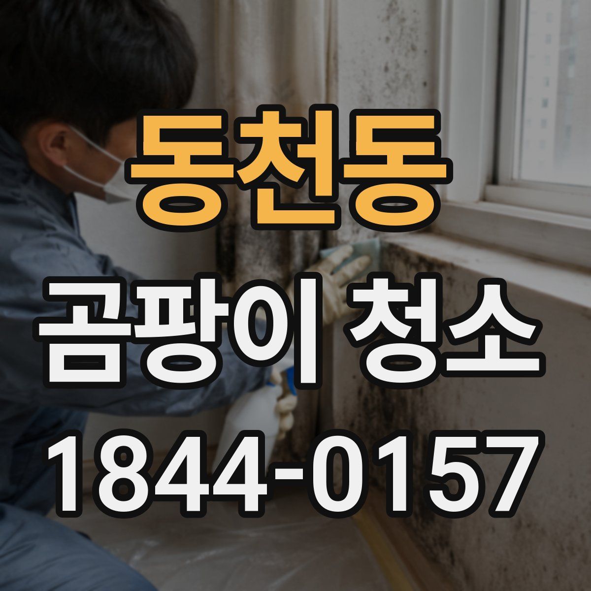 동천동 곰팡이 청소