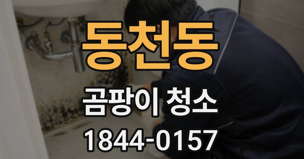 동천동 곰팡이 청소