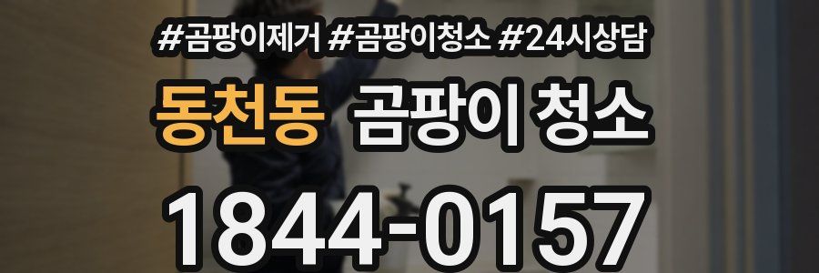 동천동 곰팡이 청소