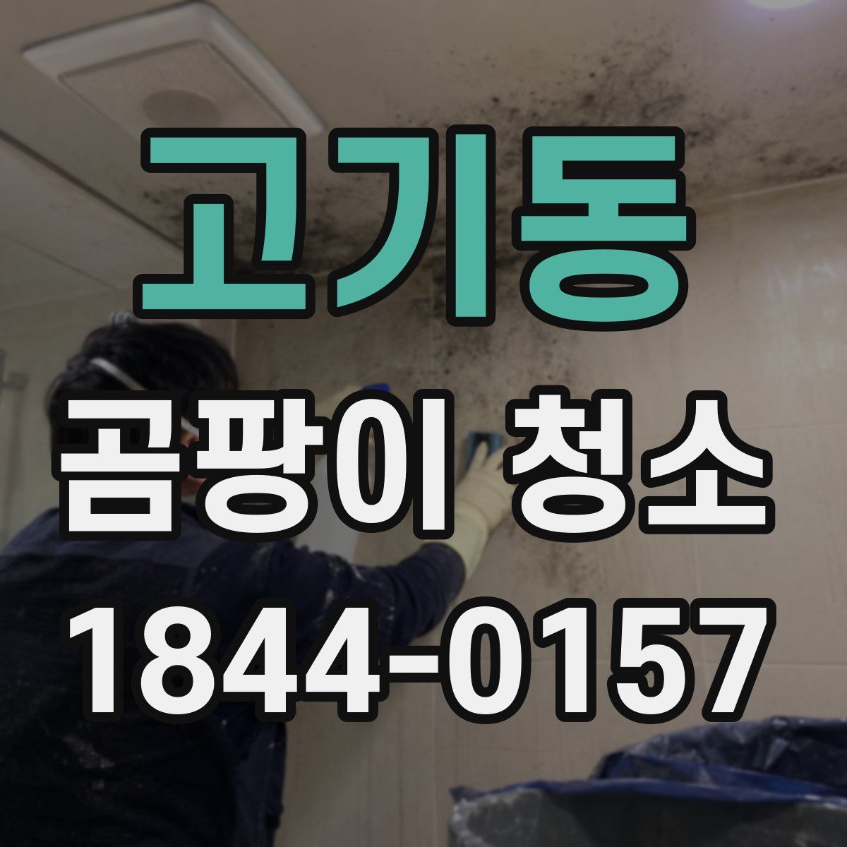 고기동 곰팡이 청소