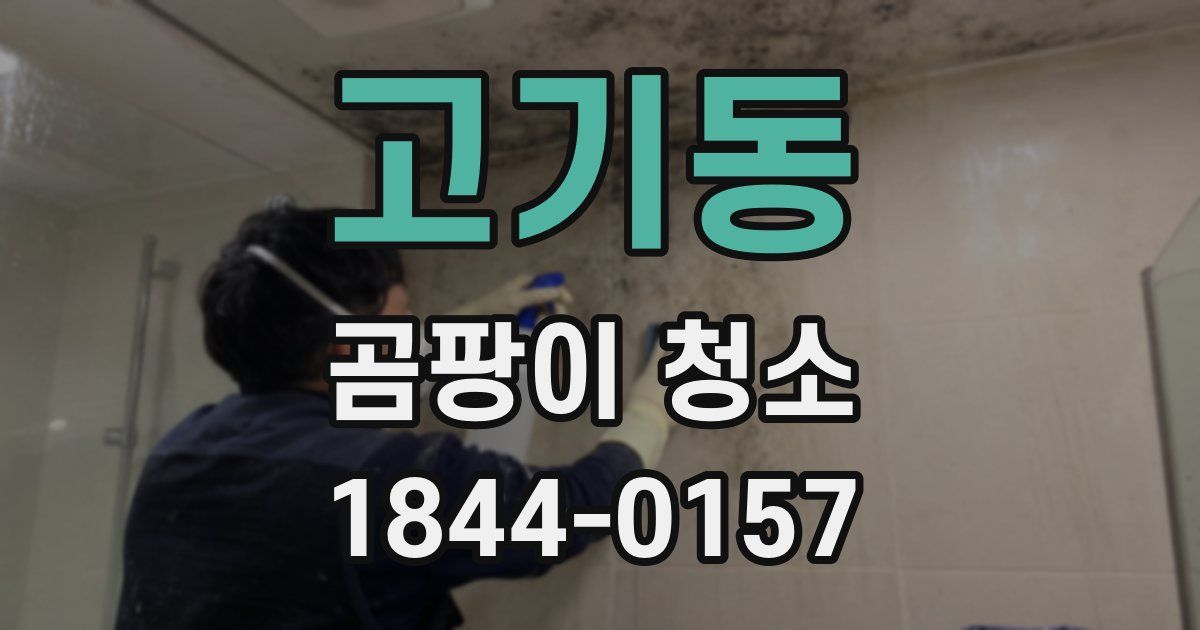 고기동 곰팡이 청소