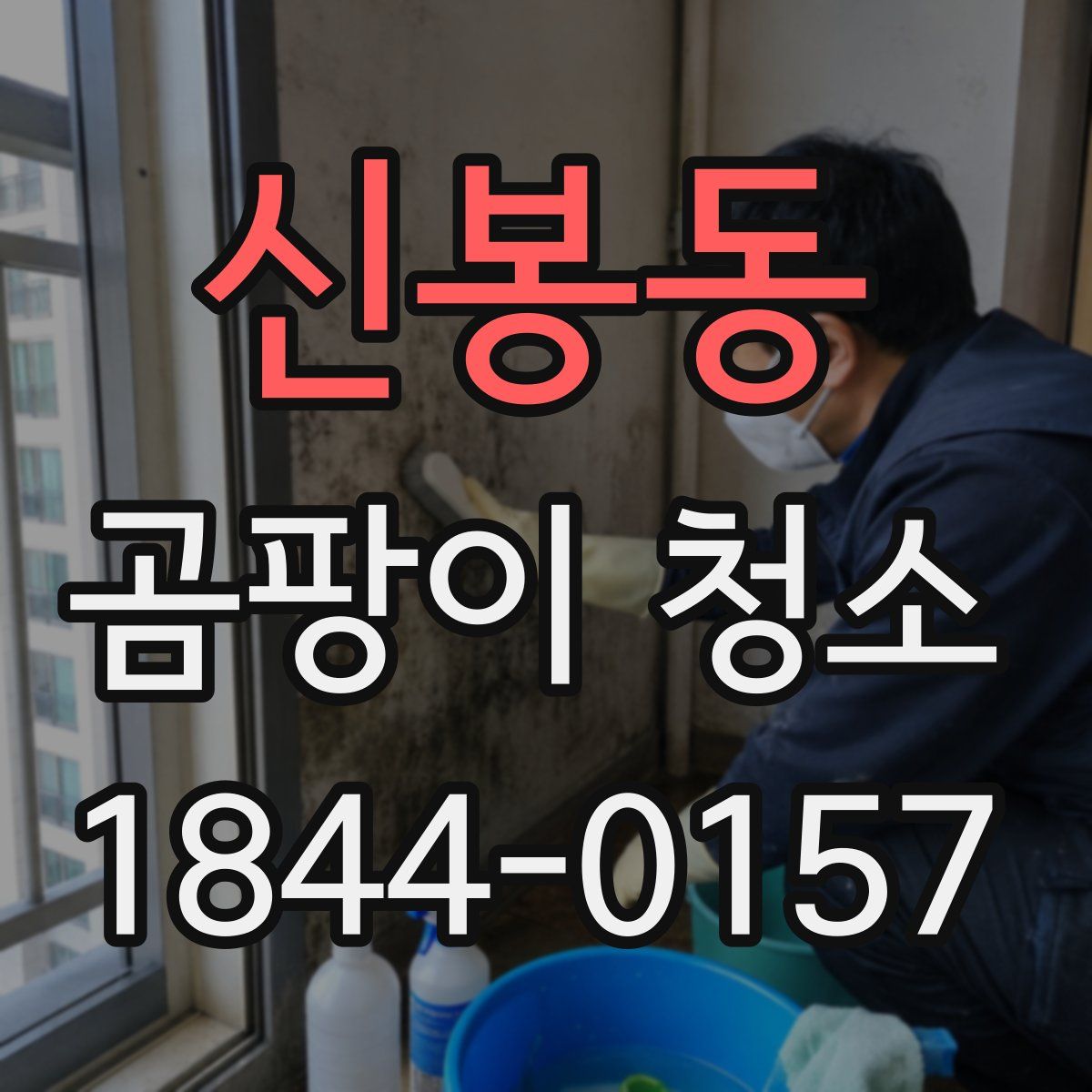 신봉동 곰팡이 청소
