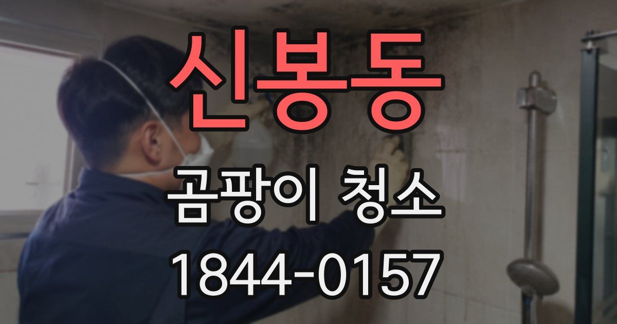 신봉동 곰팡이 청소