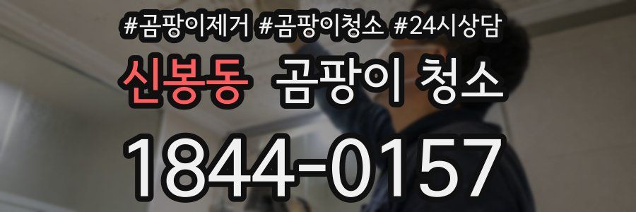 신봉동 곰팡이 청소