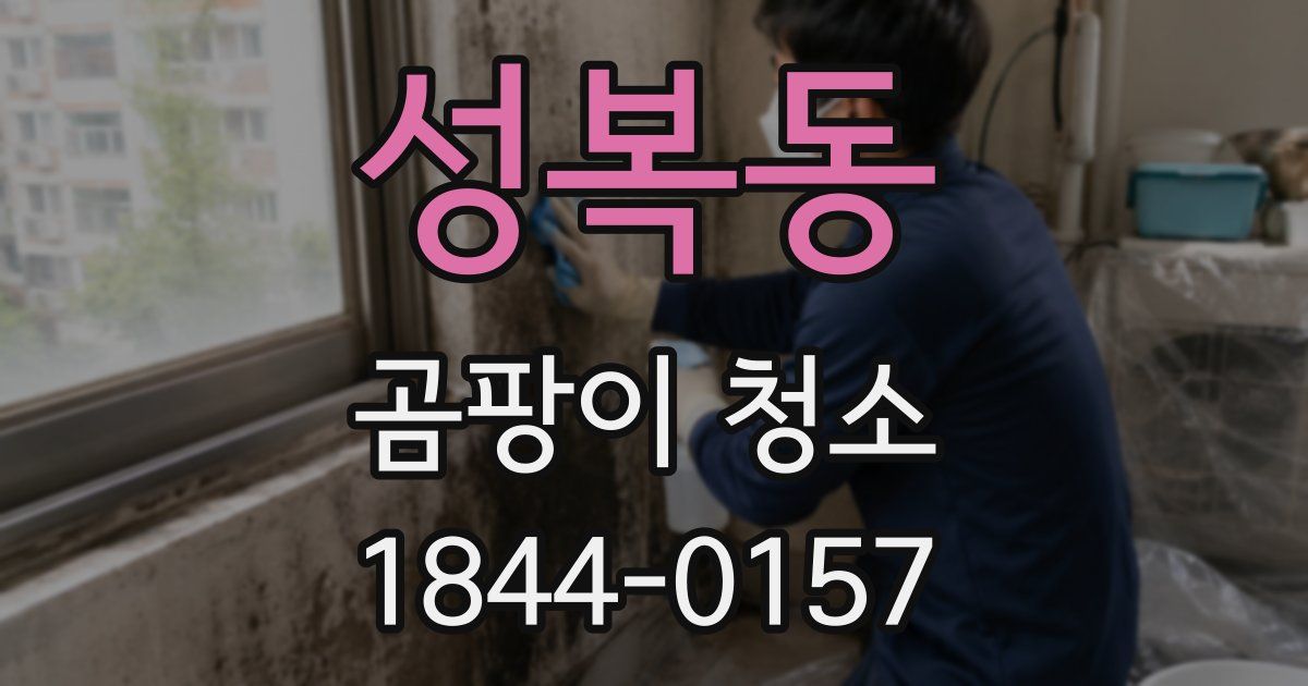 성복동 곰팡이 청소