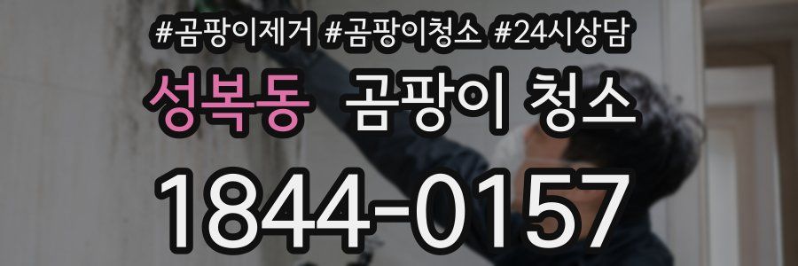 성복동 곰팡이 청소