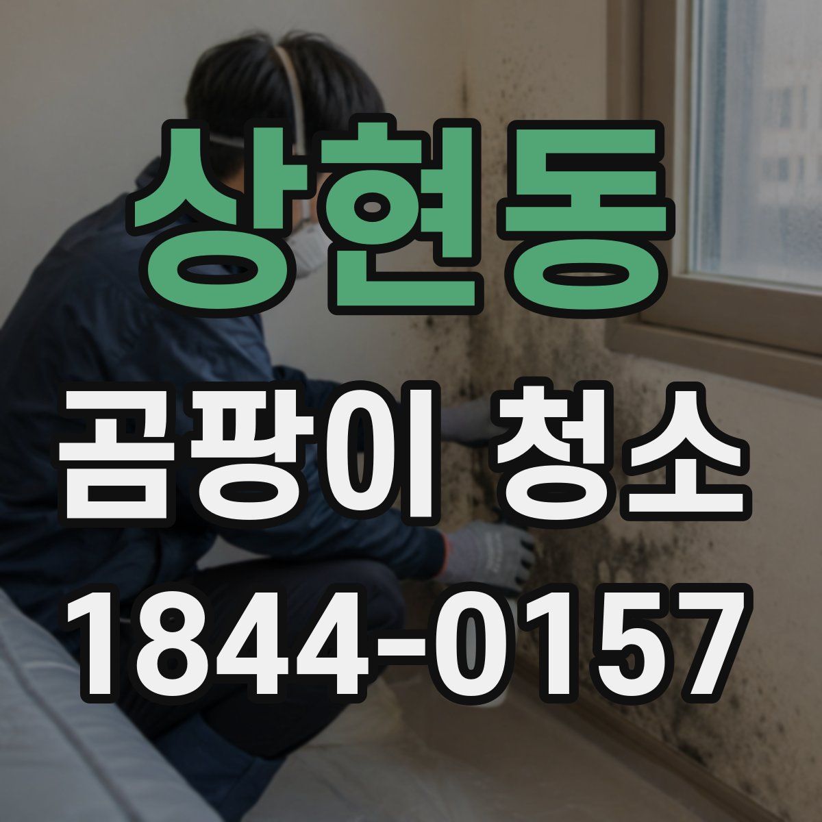 상현동 곰팡이 청소