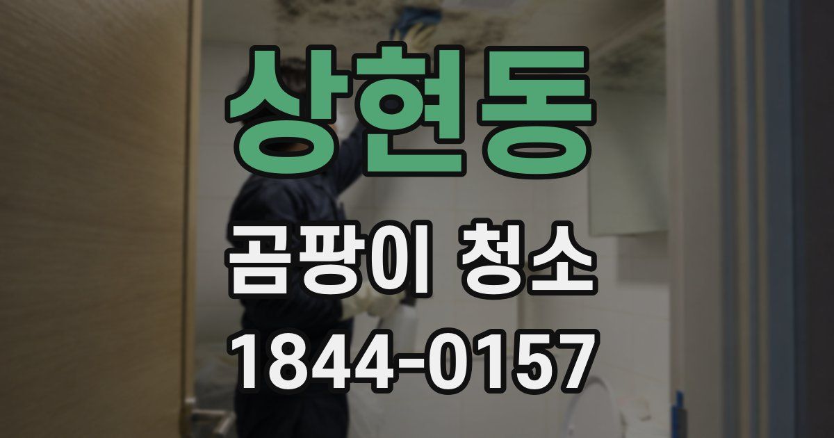 상현동 곰팡이 청소