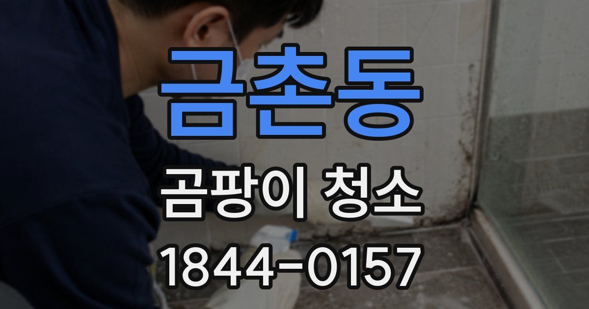 금촌동 곰팡이 청소