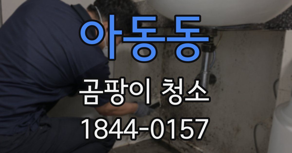 아동동 곰팡이 청소