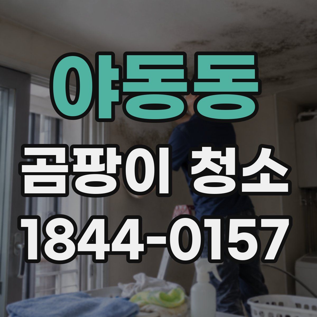 야동동 곰팡이 청소