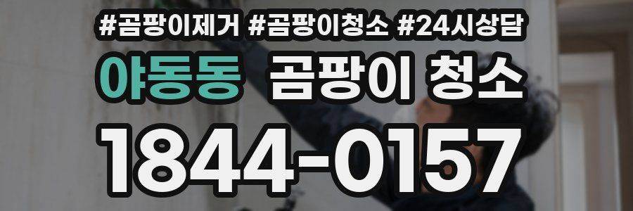 야동동 곰팡이 청소