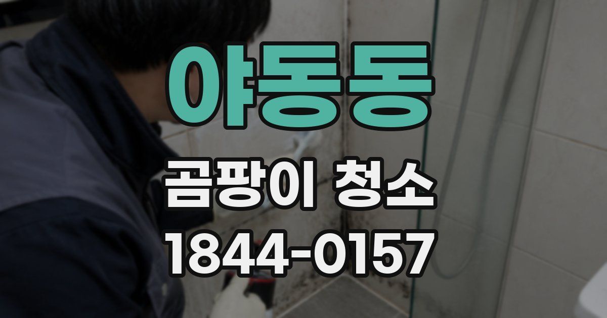 야동동 곰팡이 청소