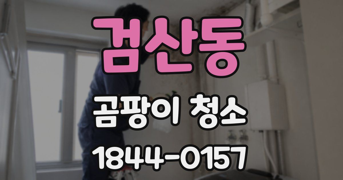 검산동 곰팡이 청소