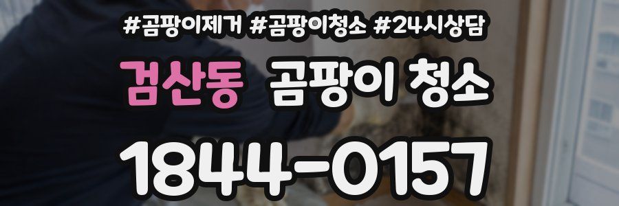 검산동 곰팡이 청소