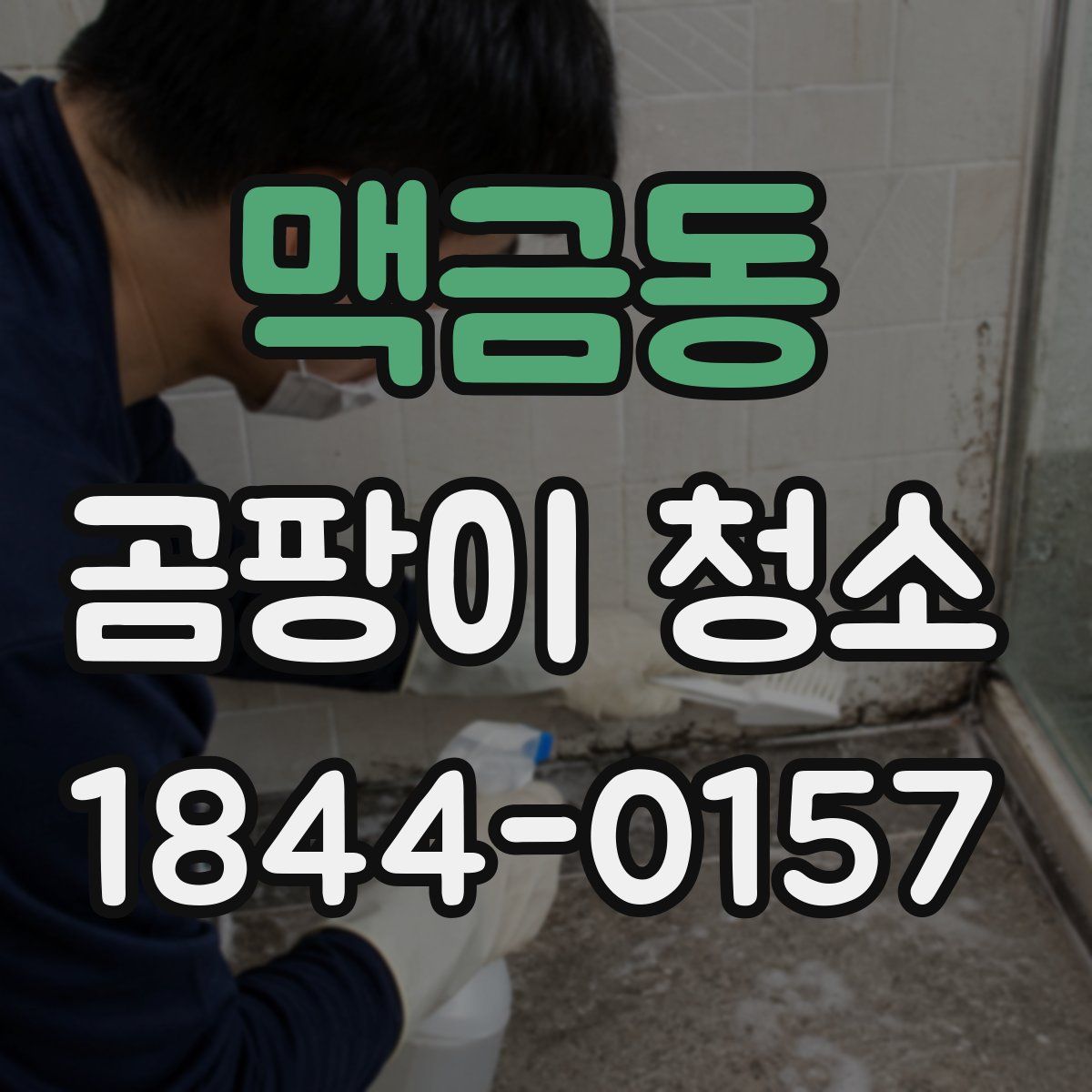 맥금동 곰팡이 청소