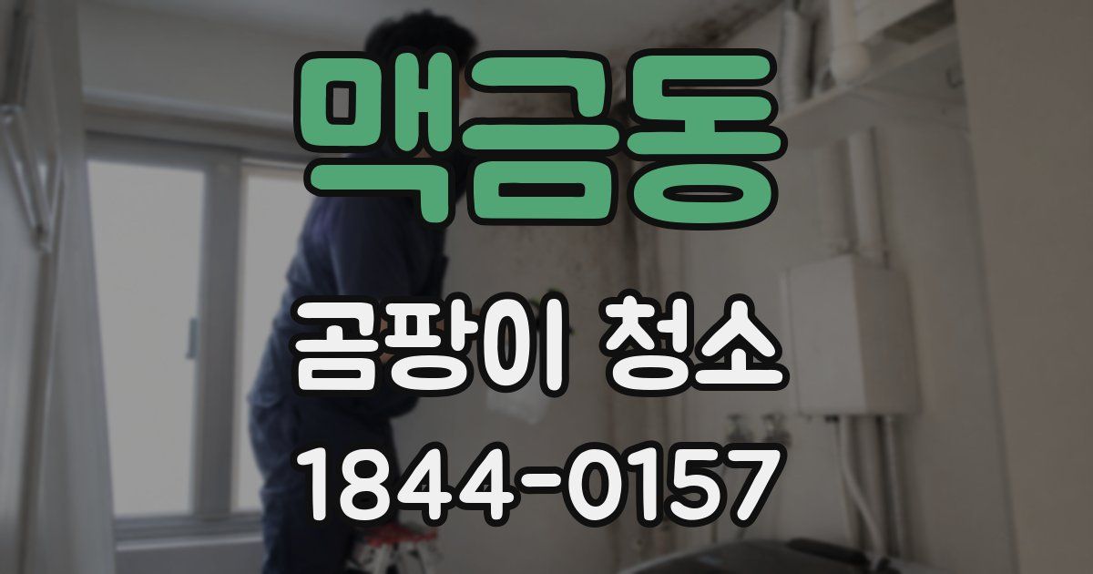 맥금동 곰팡이 청소