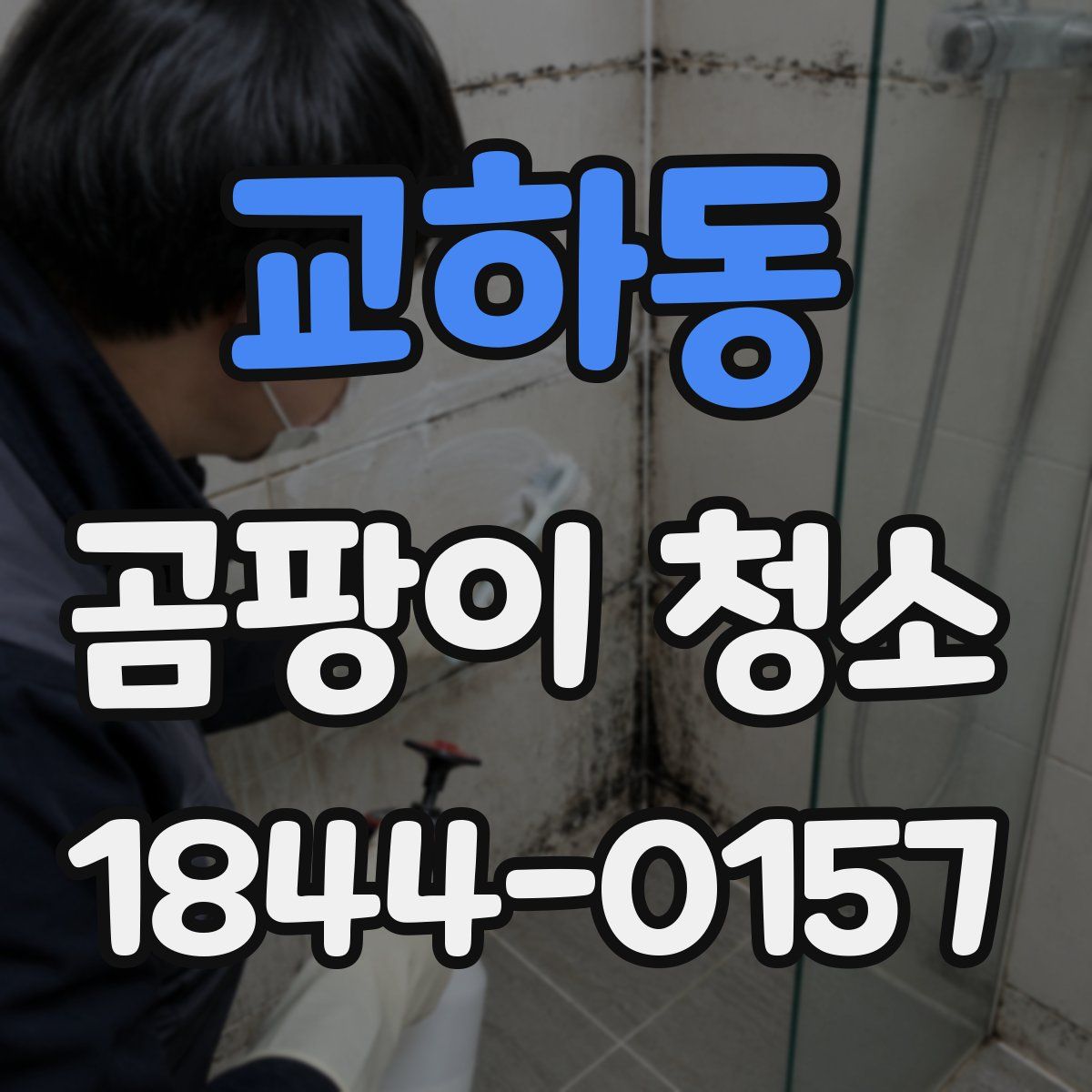 교하동 곰팡이 청소