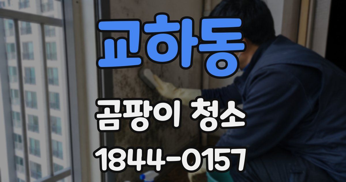 교하동 곰팡이 청소