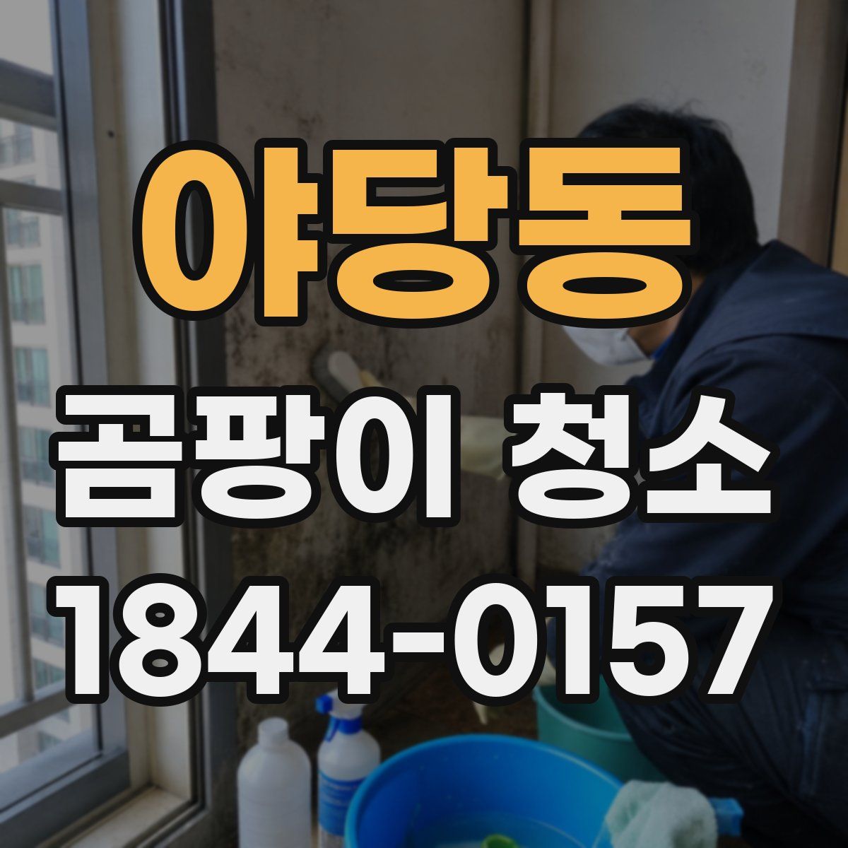 야당동 곰팡이 청소