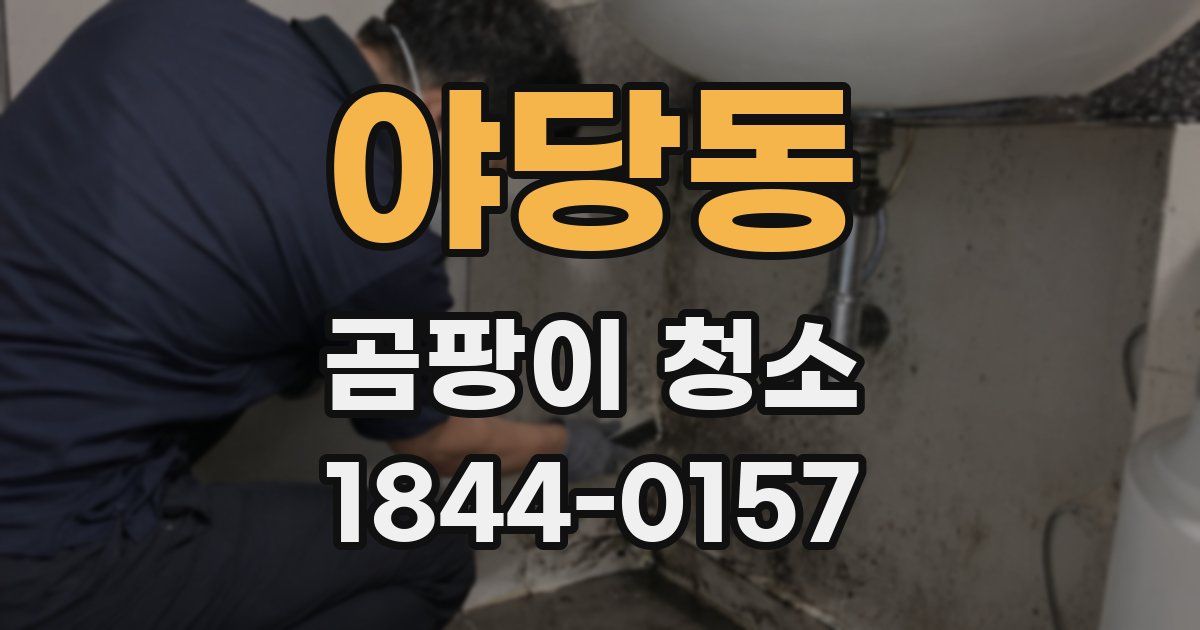 야당동 곰팡이 청소