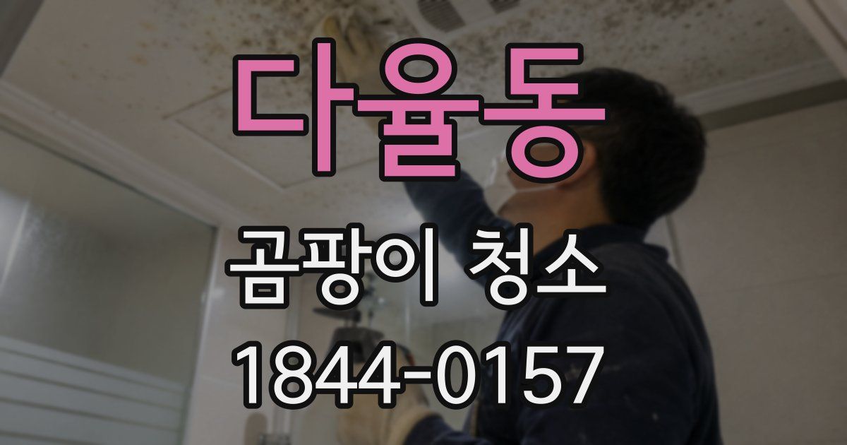 다율동 곰팡이 청소