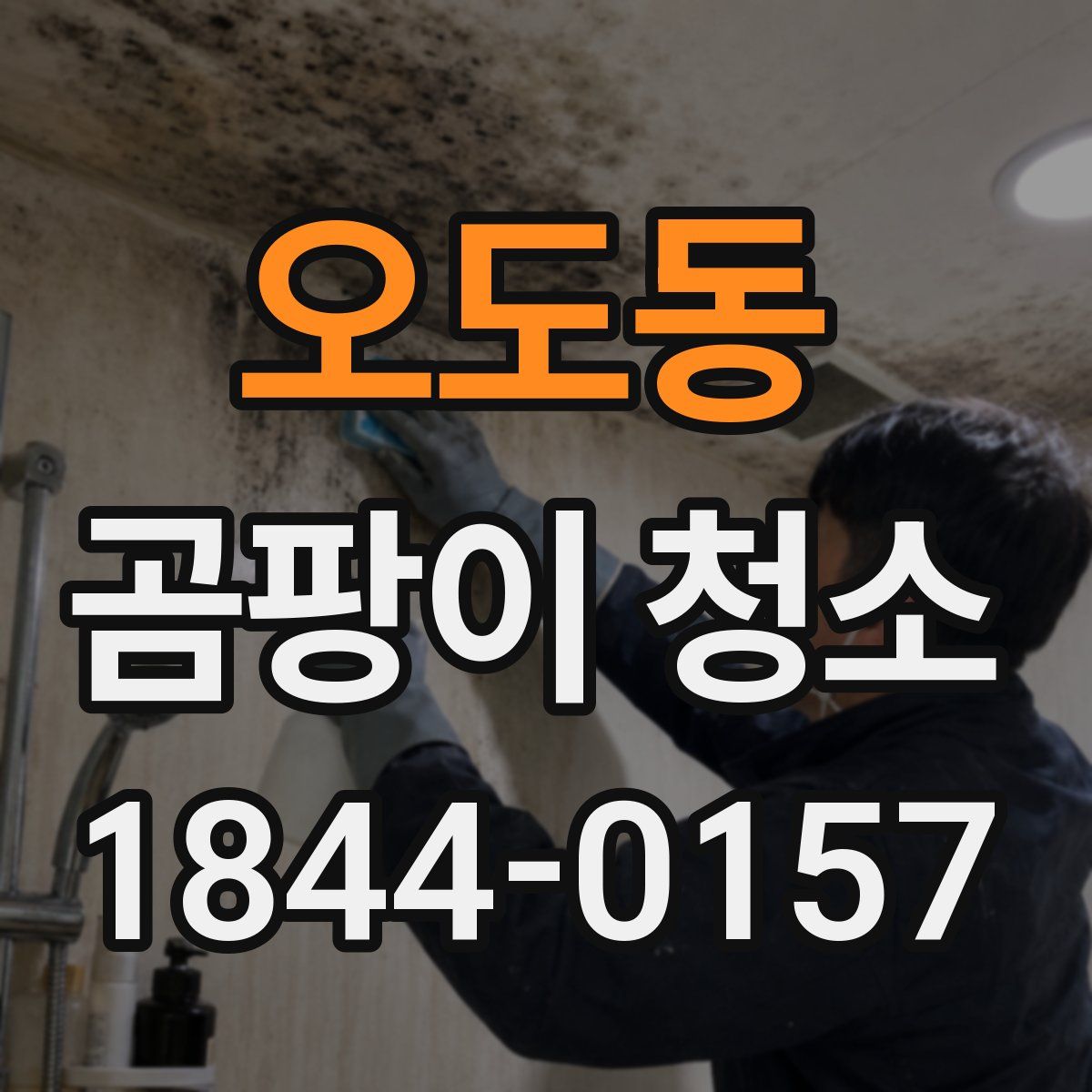 오도동 곰팡이 청소