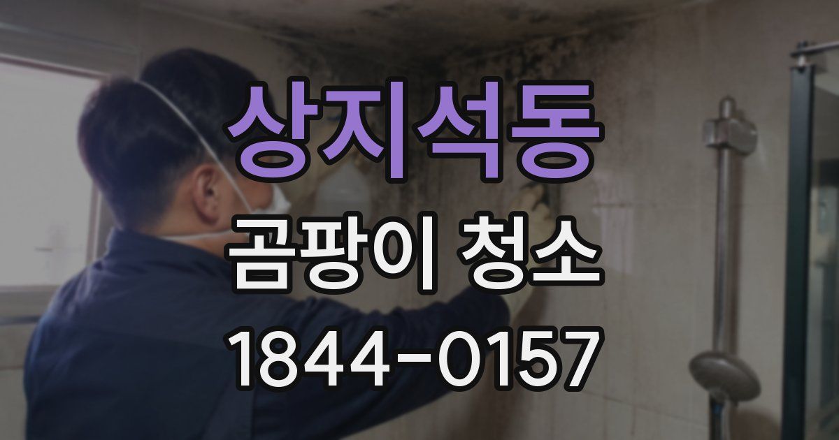 상지석동 곰팡이 청소
