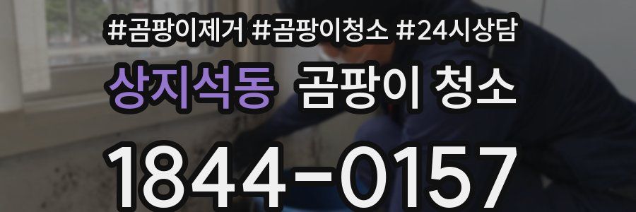 상지석동 곰팡이 청소