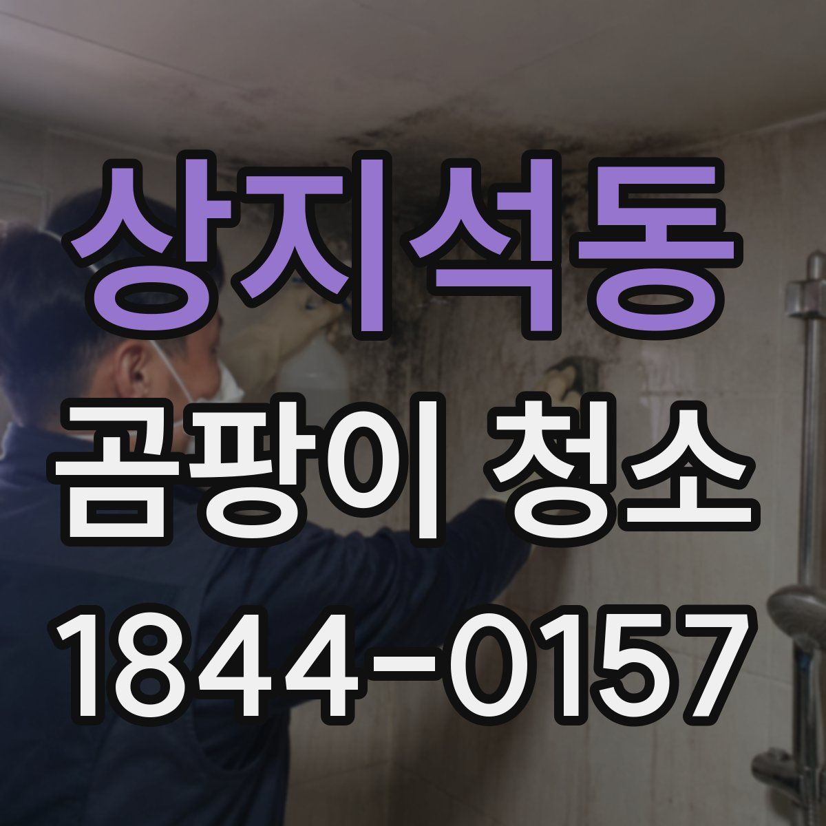 상지석동 곰팡이 청소