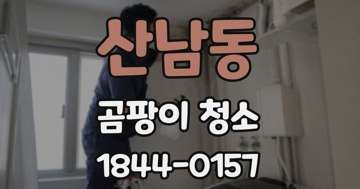 산남동 곰팡이 청소