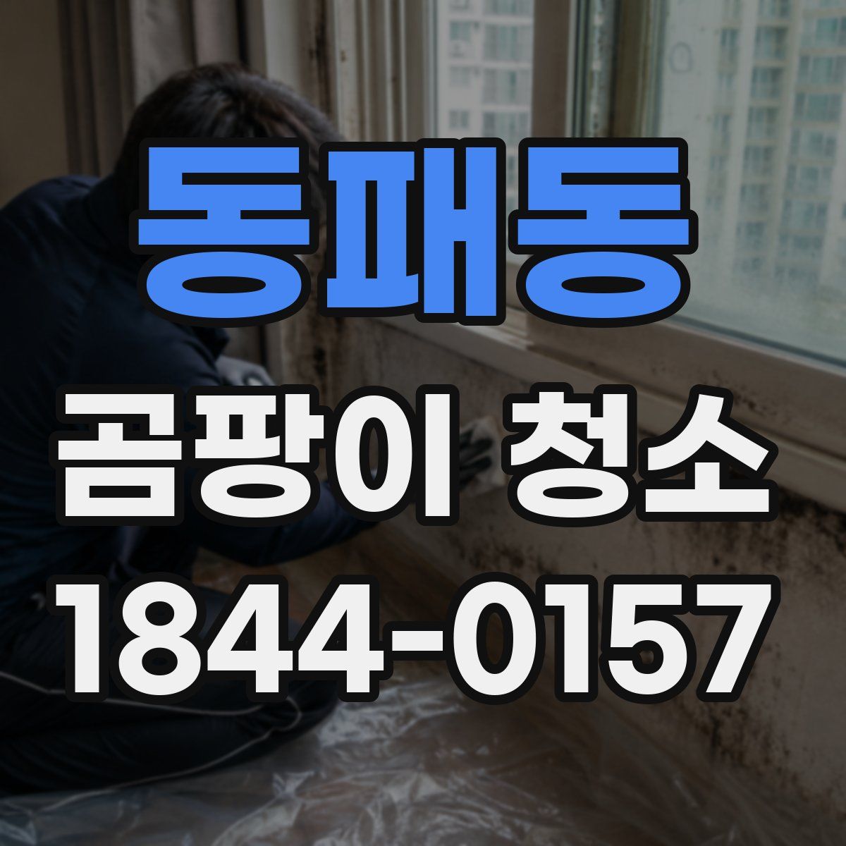 동패동 곰팡이 청소