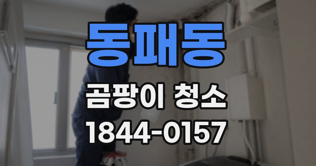 동패동 곰팡이 청소