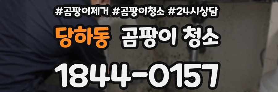 당하동 곰팡이 청소
