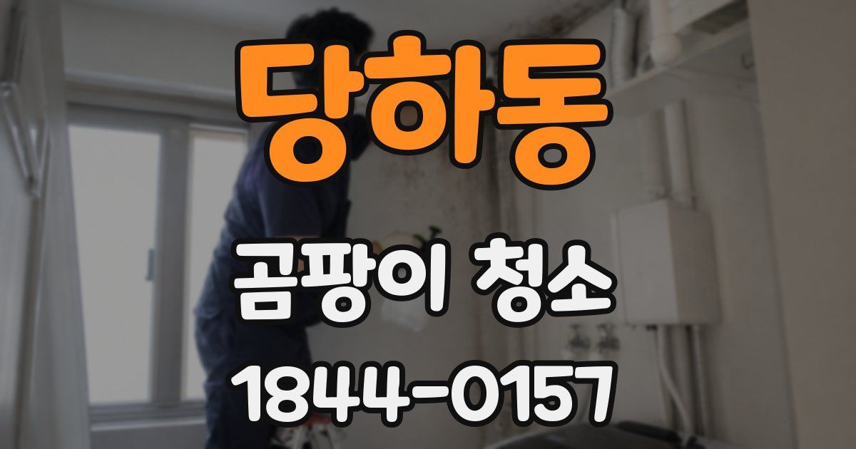 당하동 곰팡이 청소