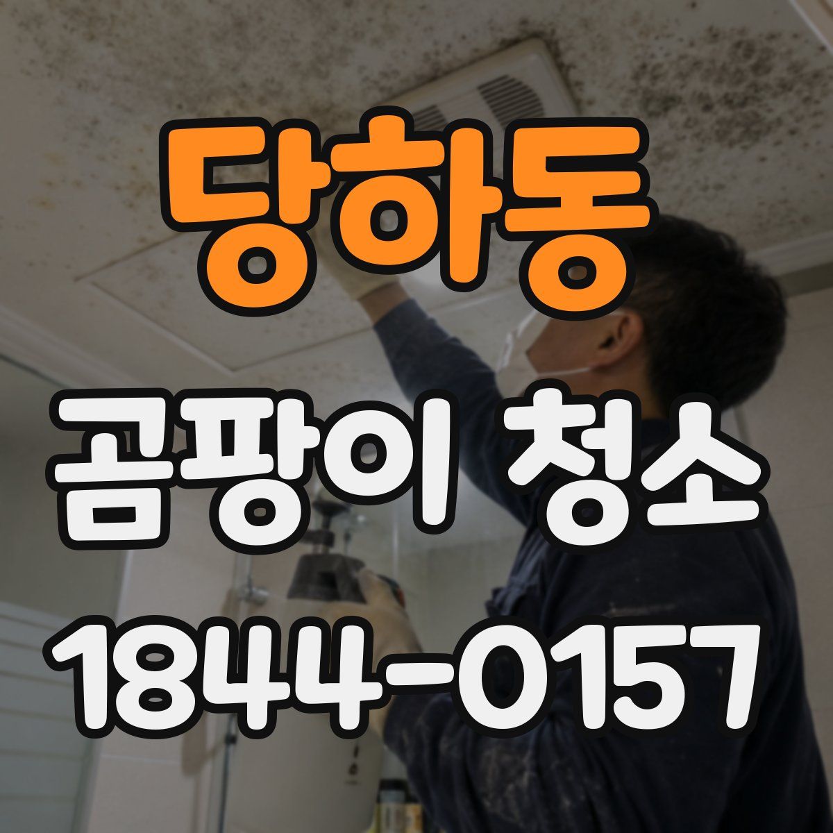 당하동 곰팡이 청소
