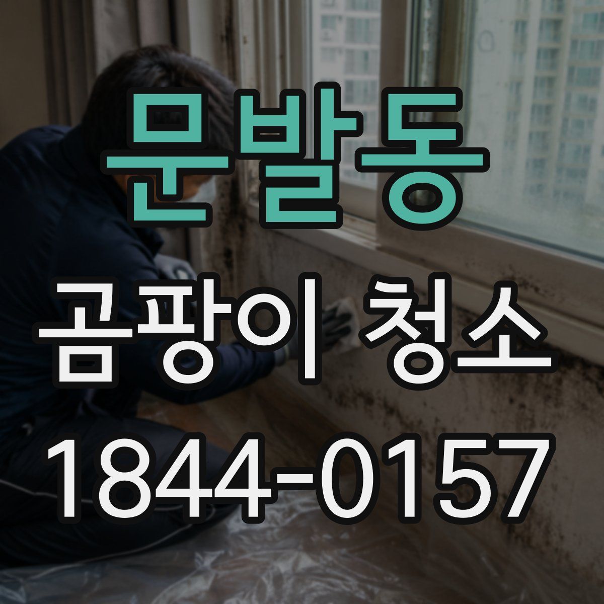 문발동 곰팡이 청소