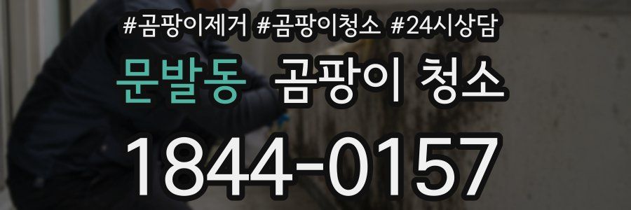 문발동 곰팡이 청소