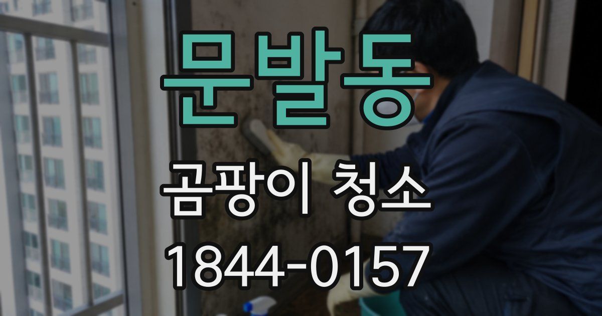 문발동 곰팡이 청소